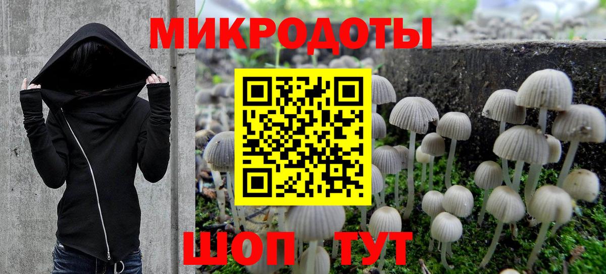 Псилоцибиновые грибы MAGIC MUSHROOMS Дмитров