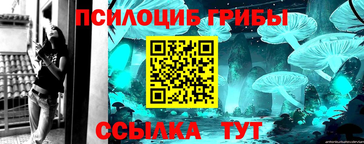 Дмитров  Галлюциногенные грибы Psilocybine cubensis  Вход с VPN  Псилоцибиновые грибы MAGIC MUSHROOMS 